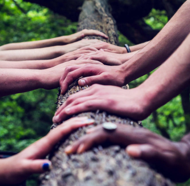 Multiple hands rest against the trunk of a tree