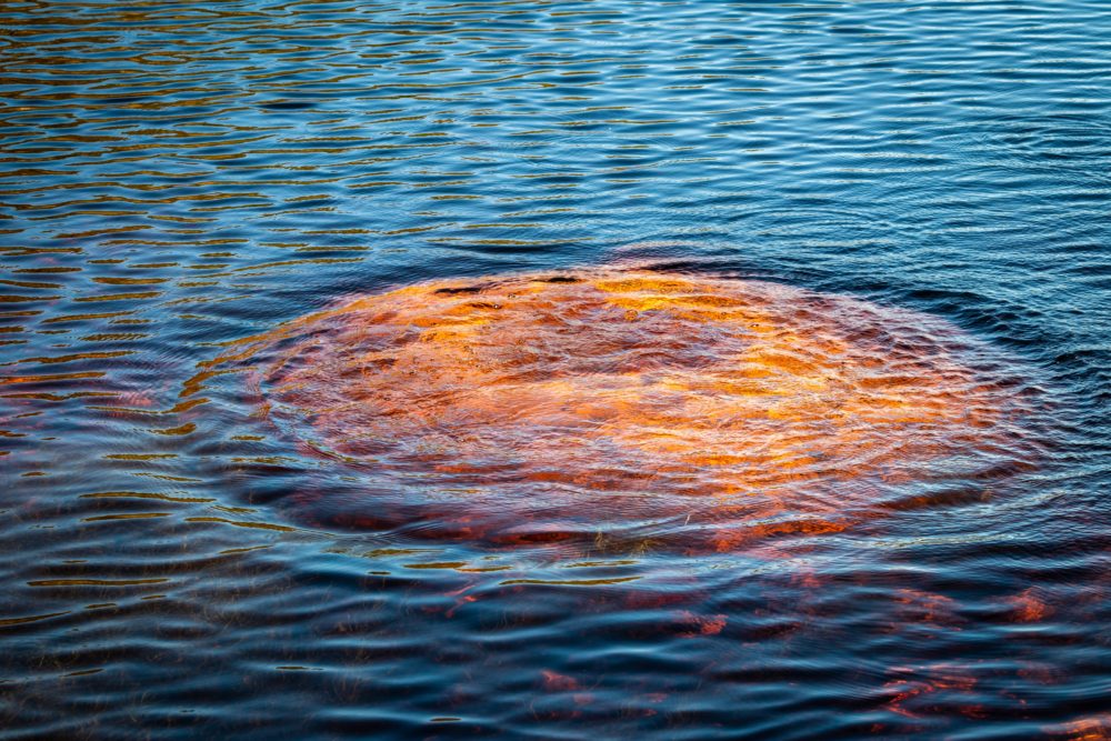 Ripples on the surface of the water glow orange against the blue, as if a fire burns in the depths.